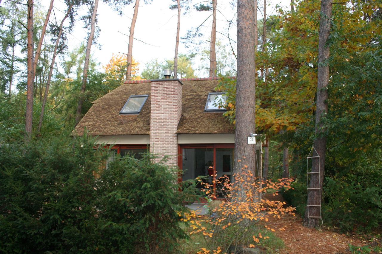 Vila Waterlelie 34 Rekem Exteriér fotografie